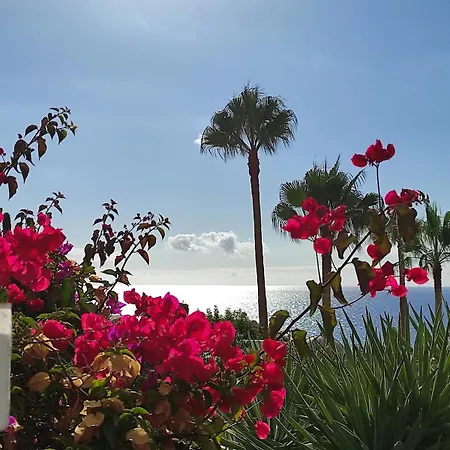 Appartement In Playa Paraiso Tenerife *