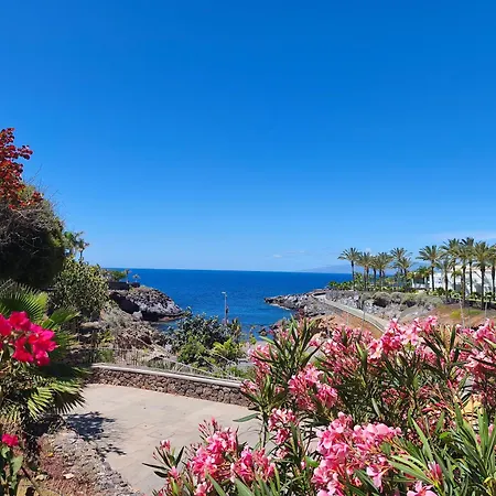 Appartement In Playa Paraiso Tenerife Costa Adeje (Tenerife)